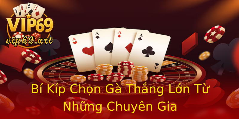 Bí Kíp Chọn Gà Thắng Lớn Từ Những Chuyên Gia Bí Kíp Chọn Gà Thắng Lớn Từ Những Chuyên Gia