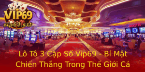 Lo To 3 Cap So Vip69 Bi Mat Chien Thang Trong The Gioi Ca Cuoc